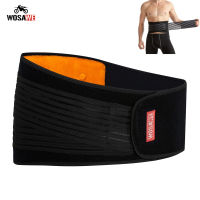 WOSAWE Motorcycle Protective Kidney Belt Waist Support Belt Protect Back Lumbar ce Bodybuilding Back Support Waist Protector