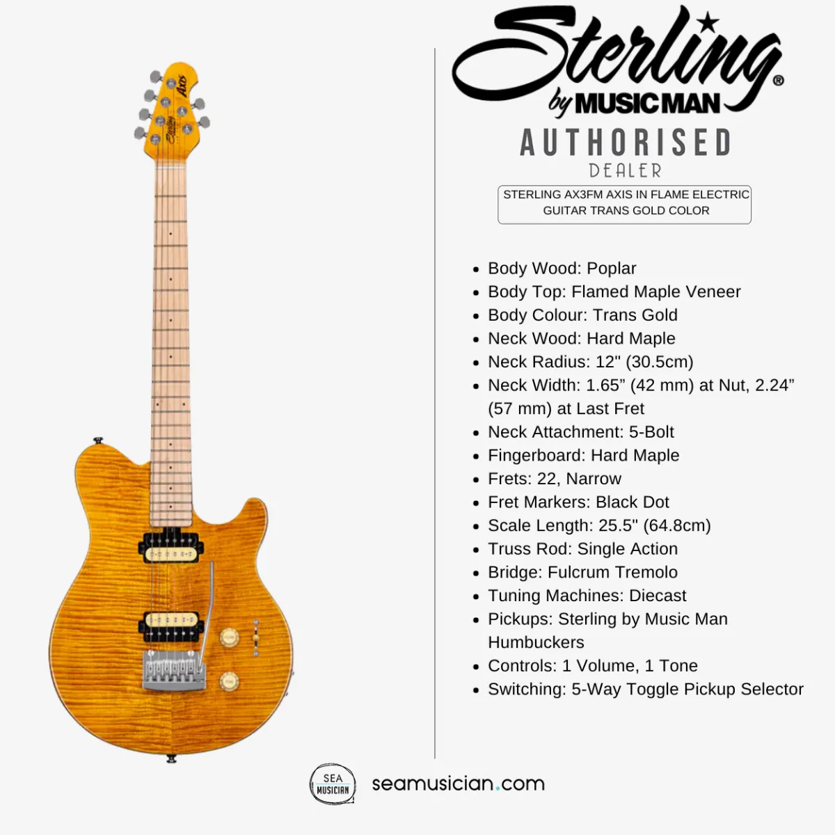 Sterling by AX3FM Gold MUSICMAN N S TGD Trans トラスト MUSICMAN