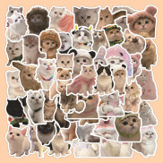 Set 60 sticker hình dán Mèo ngộ nghĩnh