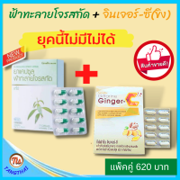 ⭐ส่งฟรี⭐จับคู่ ฟ้าทะลายโจรสกัด+สารสกัดขิง ผสมผงขิง และวิตามินซี ฟ้าทะลายโจร มีปริมาณแอนโดรกราโฟไลด์ไม่ต่ำกว่า 24 มก. ขิงผง ขิงสกัด ขิง