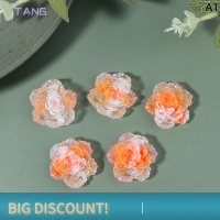 ?【Lowest price】TANG 5ชิ้นดอกไม้อะคริลิคผสมอะคริลิคตกแต่งเล็บแวววาวอุปกรณ์ตกแต่ง Kawaii