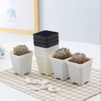 [COD] Succulent flower plastic 5/10/20 thickened size black and white square 7/10cm seedling leaf insert