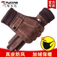 Woodpecker leather gloves mens winter cycling plus fleece riding motorcycle thickened touch screen genuine leather warm and windproof gloves