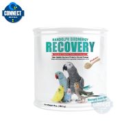 Pro +++ Randolph - Birdnergy Recovery อาหารฟืนฟูสำหรับนกป่วย ขนาด 283.5 กรัม ราคาดี อาหาร นก อาหารนกหัวจุก อาหารนกแก้ว อาหารหงส์หยก