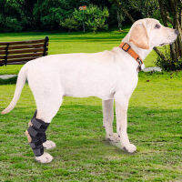 Sha 2ชิ้น/ล็อต PET knee Pads สุนัขสนับสนุนรั้งสำหรับขาบาดเจ็บกู้คืนขาสุนัขปกป้อง