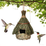 Four Seasonspet Nhà Chim Ruồi Bằng Kim Thông Tự Nhiên Cho Chim Ngoài Trời