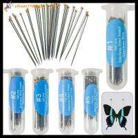 YIHUAN7782249 100Pcs หรูหรู ความแข็งสูงสูง Entomology อุปกรณ์เสริมในห้องปฏิบัติการ หมุดพิน ตัวอย่างพิน เข็มสำหรับเย็บ อุปกรณ์กำจัดแมลง