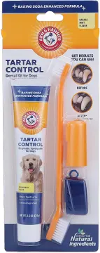 Arm and hammer dog hot sale toothbrush