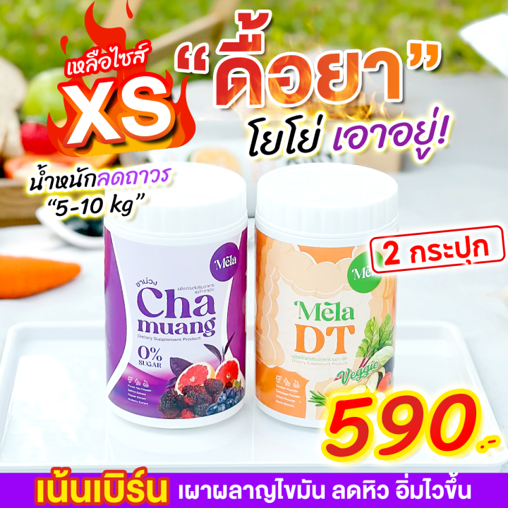 เครื่องดื่มชาม่วง-ลดไขมัน-ชุด-2-กระปุก-chamuang-ชาม่วงสลายไขมัน-1-กระปุก-เมล่า-dt-1-กระปุก-ชาม่วง-chamuang-ดีท็อก-รีดไขมันส่วนเกิน