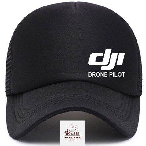 Dji pilot online mavic mini