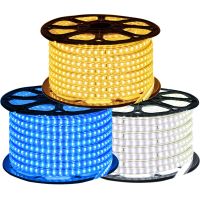 【LZ】๑卐  Impermeável LED Light Strip com EU Switch Plug Corda ao ar livre Branco Branco Quente Azul SMD 3014 120LEDs por m 220 V 240V IP67