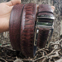 Free Shipping Belt &amp; Buckle สีน้ำตาล เพื่อความพากภูมิใจของเอกบุรุษเช่นคุณ เข็มขัดหนังแท้ เกล็ดแข้งของนกกระจอกเทศ ยาวตลอดเส้น