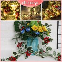 SHUIXINGZ พวงมาลัยหวายสำหรับงานแต่งงาน,ผลไม้เล็กๆสีแดงกลางแจ้งสาย LED ไฟประดับต้นคริสต์มาสไฟตกแต่งราวบันได