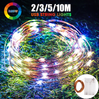 2/3/5/10เมตรหลอดไฟ LED Strip กล่องแบตเตอรี่ลวดทองแดงโคมไฟ S Tring นางฟ้าไฟวันหยุดกลางแจ้งโคมไฟพวงมาลัยสำหรับต้นคริสต์มาสงานแต่งงานตกแต่ง