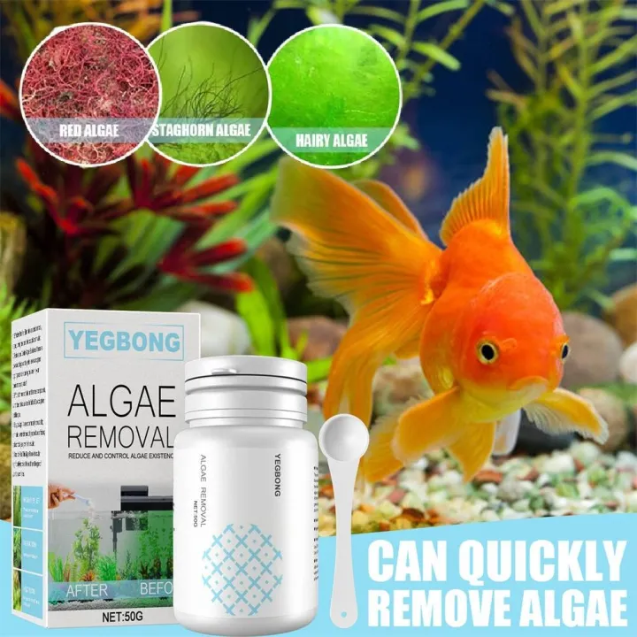 YAZE [Ready Stock]Fish Tank Cleaning Powder Algae Repellent Agent Tank