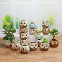 Succulent plant flowerpot gardening home furnishings lovely animal owl flowerpot lovely outdoor garden succulent flowerpot多肉植物小花盆园艺家居装饰摆件 可爱动物猫头鹰花盆 可爱户外花园多肉花盆