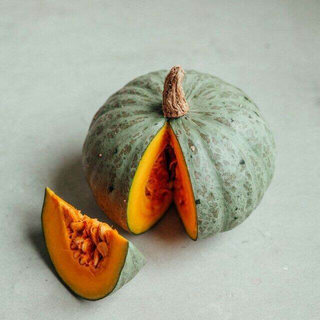 Kalabasa "Squash" Vegetable Seeds Lazada PH