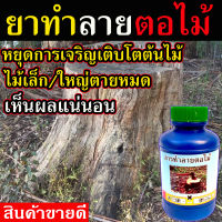 (เห็นผล100%)สารกำจัดตอไม้ ขนาด 1 ขวด รับประกันคุณภาพ ยาทำลายตอไม้ ยาฆ่าตอไม้ ยาป้ายตอไม้ ยากำจัดตอไม้