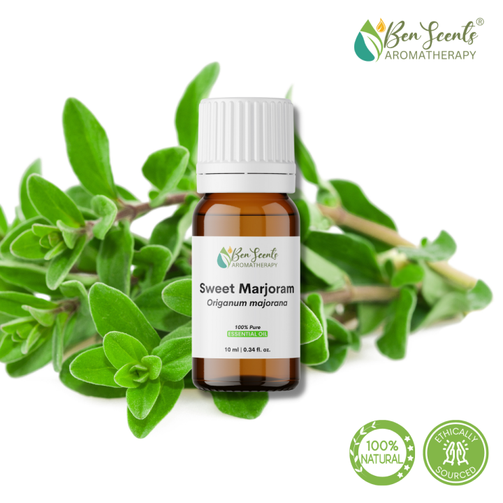 Sweet Marjoram Essential Oil 100 Pure Undiluted Plant Based
