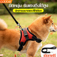 cobbe mall สายจูงเชือกไนล่อน เซ็ท2ชิ้น พยุงหน้าอกสัตว์ เชือกไนล่อน Oxford 100% Traction เข็มขัดสัตว์เลี้ยง เชือกจูงสุนัขแบบเต็มตัว เหมาะสำหรับสุนัขทุกขนาด เสื้อพยุงอก สายจูงฝึกสุนัข แบบไม่เจ็บ สายจูงเดินเล่น เชือกจูงเดินเล่น แข็งแรงพิเศษ สายจูง สายรัด