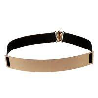 Womens Mirror Metal Waist Belt Metallic 25*4cm