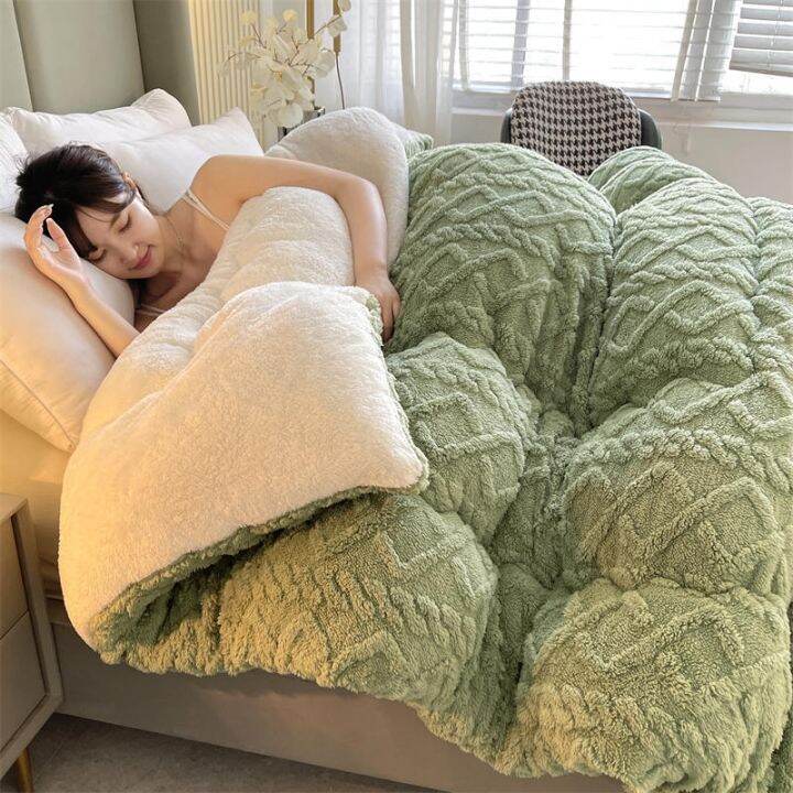 A Happy Family】┋□✷ New Super Thick Winter Warm Blanket for Bed Artificial  Lamb Cashmere Weighted Blankets Soft Comfortable Warmth Quilt Comforter |  Lazada Singapore