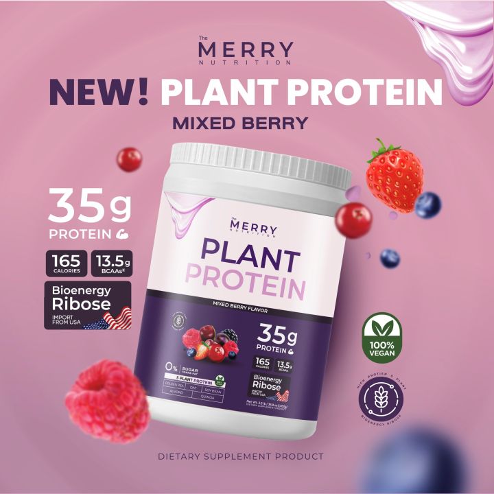 1-กระปุก-the-merry-plant-whey-protein-dark-chocolate-thai-tea-mixed-berries-matcha-green-tea-strawberry-milk-เดอะ-เมอร์รี่-เวย์-โปรตีน-ชงดื่ม-จากพืช