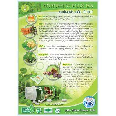 CORDESTAR   PLUS M5   คอร์เดสต้า  พลัส  เอ็มไฟว์