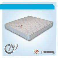 SE MATTRESS  ที่นอนสปริงเพื่อสุขภาพ ผ้าแจ็กการ์ด รุ่น เรจิน่า/Regina ขนาดหนา 9 นิ้ว มีขนาด 3.5/5/6/ ฟุต ที่นอนเพื่อสุขภาพที่ขายดีมากๆ รับประกัน10 ปี