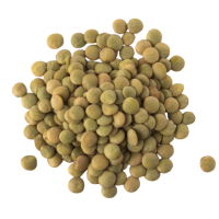 ถั่วเลนทิล สีเขียว 1 กิโลกรัม - Green Laird Lentils 1kg