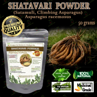 SHATAVARI POWDER Satavari, Satavare, Satavirya, Shatapadi, Satamuli, Climbing Asparagus Asparagus racemosus  PURE PREMIUM QUALITY