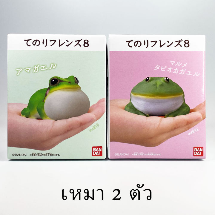 แยก-tree-frog-budgett-frog-bandai-tenori-friends-8-โมเดลสัตว์-กบ-กบบัดเจท-กบต้นไม้