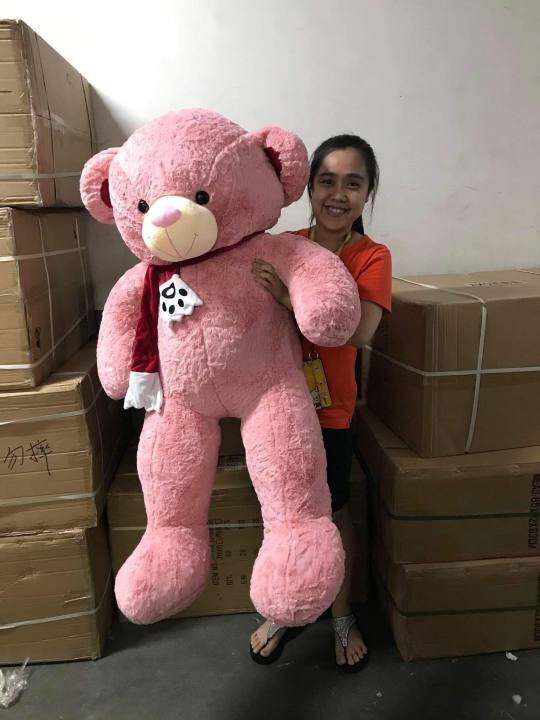 human size teddy bear lazada