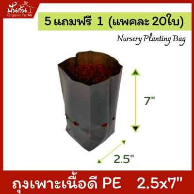 [5แถมฟรี1] ถุงปลูกต้นไม้ 2.5x7” ถุงเพาะชำ ถุงเพาะสีดำ เจาะรู แพคละ20ใบ [สั่ง5แพค แถมอีก1แพค] [Nursery Planting Bag] เนื้อ PE เหนียว ทน อายุใช้งาน 1.5 ปี