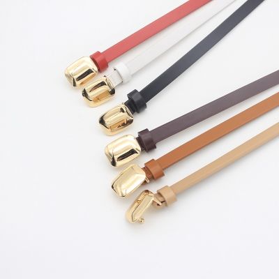 New Triangle Alloy Buckle Belt Women Fashion Decoration Thin Ladies Leather Pants Stainless Steel