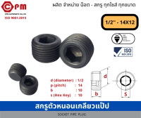 สกรูตัวหนอน  เกลียวแป๊ป 1/2 - 14x12  [SOCKET PIPE PLUG]