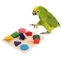 Pet Educational Toys Birds Parrot Interactive Training Colorful Wooden Block Bird Toy Training Bird Supplies Parrot Toys