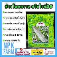 ข้าวโพดหวาน สวีทไวท์ 25 F1 ขนาด 200 กรัม เมล็ดพันธุ์ ลอตใหม่ งอกดี ข้าวโพด ศรแดง เมล็ดสีขาว รสชาติเหนึยว นุ่ม หวาน ขายง่าย ตลาดต้องการ npkplant