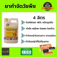 ยาปราบวัชพืช / สารกำจัดวัชพืช / ยาฉีดหญ้า (ไทเกอร์โฟเซต 48) ฝาเหลือง (ขนาด 4 ลิตร) แบบดูดซึมถึงราก (จำนวน 1 แกลลอน) by lookforonline