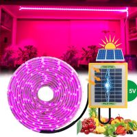 10M Solar Phytolamp for Seedlings Powered LED Grow Light 5V 2835 Phyto lamp for Plants Greenhouse Hydroponic Growing 1/2/3/5/10M