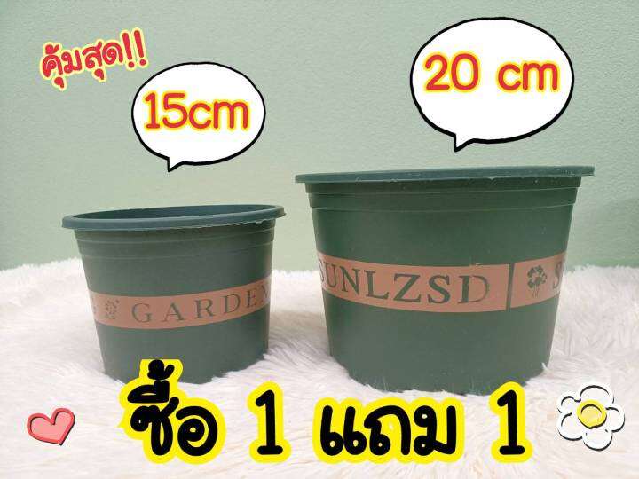 ซื้อ1-แถม1-กระถางต้นไม้-มี-2-ขนาด-สีเขียว-กระถาง-แกลลอน-กระถาง-ดอกไม้-กระถางต้นไม้-กระถางพลาสติก-กระถางไม้-กระถางพลาสติก-มีรูระบายน้ำ