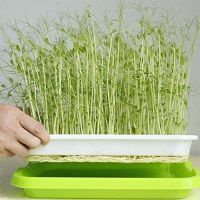 【hot】✆  1 Tray Garden Pots Microgreen Soilless Hydroponics Sprouter