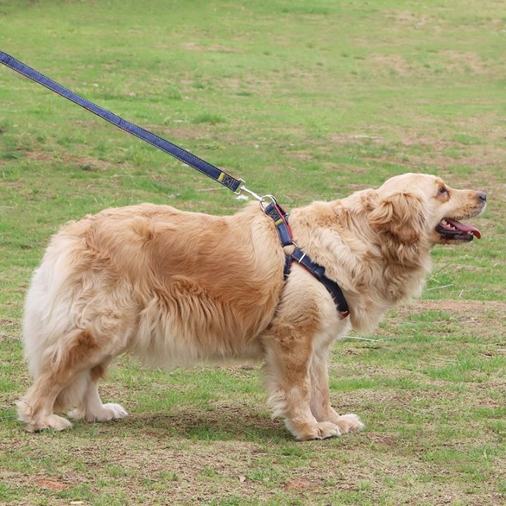 papi-pet-ชุดปลอกคอปรับได้ผ้ายีนส์สำหรับสัตว์เลี้ยง-1ชิ้นชุดสายจูงสุนัขเล็กกลางใหญ่ตะกั่วสำหรับการฝึกการเดิน