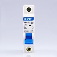 Nxb-63 Chint Ac 230/400V เบรกเกอร์ขนาดเล็ก C 6 10 16 20 25 32 40 50 63a โอเวอร์โหลดป้องกันเกิน Dz47 C สไตล์ C