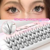 Manga Thick Little Devil False Eyelashes Single Cluster Segmented Natural Simulation Cos Eyelashes Handmade Dramatic Volume