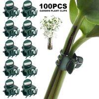 [RSX1_MY] 100pcs Garden Plant Clips Plastic Support Orchid Stem Clip for Vine Vegetables