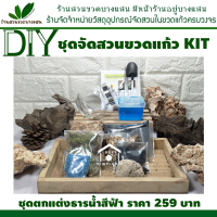 ชุด DIY สวนในขวดแก้ว KIT ราคา 259 บาท ชุดตกแต่งธารน้ำ สีเขียว