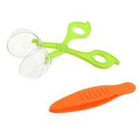 Children School Plant Insect Biology Study Tool Set Plastic Scissor Clamp Tweezers Cute Nature Exploration Toy Kit For Kids