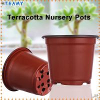 【Ready Stock】 ▲ↂ D50 TEAK 10pcs Garden Supply Plant Flower Trays Soft Plastic Mini Two-Tone Nursery Pots