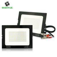 20W 30W 50W DC12V Led Flood Light Outdoor Floodlight Spotlight IP66 Waterproof Light Reflector Portable 12 Volt Led Lights